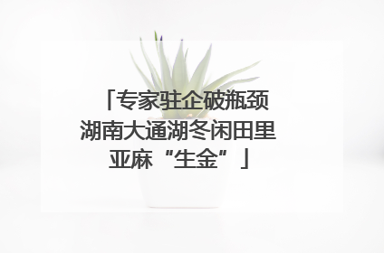 专家驻企破瓶颈 湖南大通湖冬闲田里亚麻“生金”