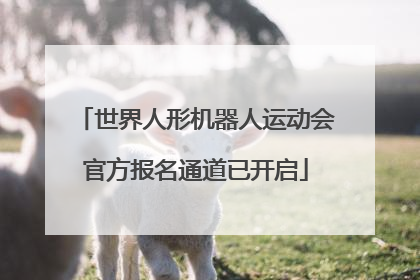 世界人形机器人运动会官方报名通道已开启