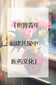 世界青年福建共探中医药文化