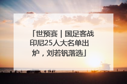 世预赛｜国足客战印尼25人大名单出炉，刘若钒落选