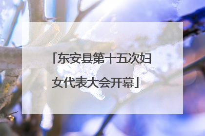 东安县第十五次妇女代表大会开幕