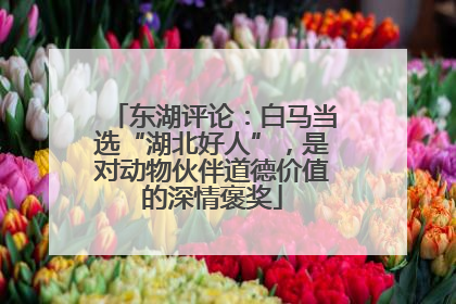 东湖评论：白马当选“湖北好人”，是对动物伙伴道德价值的深情褒奖