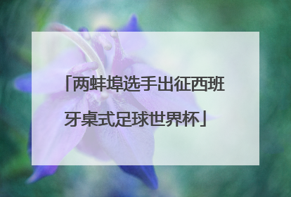 两蚌埠选手出征西班牙桌式足球世界杯