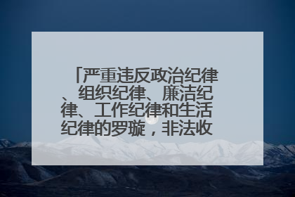 严重违反政治纪律、组织纪律、廉洁纪律、工作纪律和生活纪律的罗璇，非法收受他人巨额财物