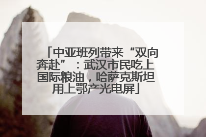 中亚班列带来“双向奔赴”：武汉市民吃上国际粮油，哈萨克斯坦用上鄂产光电屏
