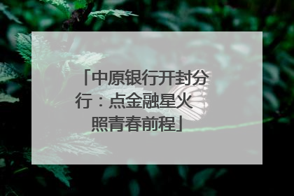 中原银行开封分行：点金融星火 照青春前程