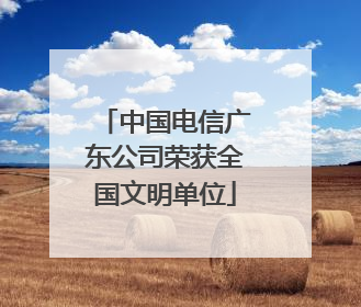 中国电信广东公司荣获全国文明单位
