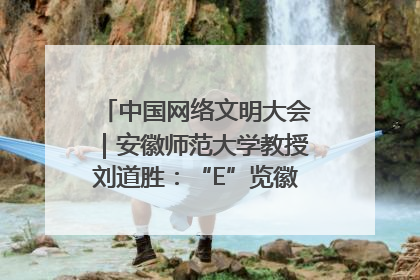中国网络文明大会｜安徽师范大学教授刘道胜：“E”览徽风，构筑中华民族共有精神家园