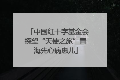 中国红十字基金会探望“天使之旅”青海先心病患儿
