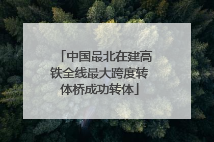 中国最北在建高铁全线最大跨度转体桥成功转体
