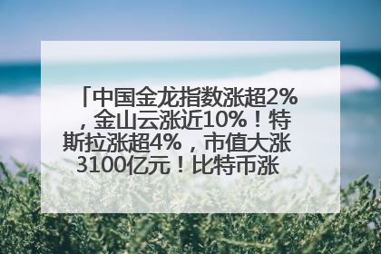 中国金龙指数涨超2%，金山云涨近10%！特斯拉涨超4%，市值大涨3100亿元！比特币涨回11万美元关口