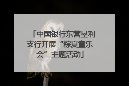 中国银行东营垦利支行开展“粽夏童乐会”主题活动