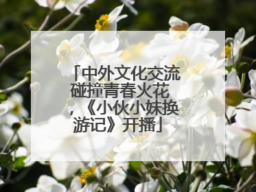 中外文化交流 碰撞青春火花，《小伙小妹换游记》开播