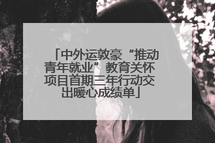中外运敦豪“推动青年就业”教育关怀项目首期三年行动交出暖心成绩单