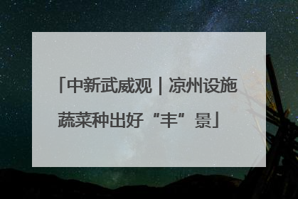中新武威观｜凉州设施蔬菜种出好“丰”景