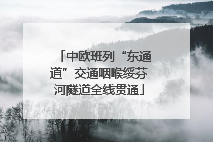 中欧班列“东通道”交通咽喉绥芬河隧道全线贯通