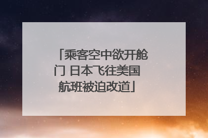 乘客空中欲开舱门 日本飞往美国航班被迫改道