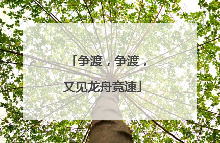 争渡，争渡，又见龙舟竞速