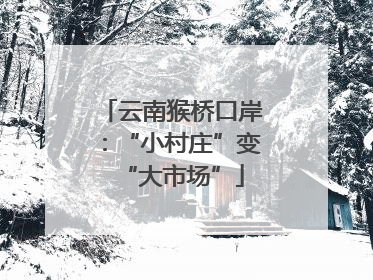 云南猴桥口岸：“小村庄”变“大市场”