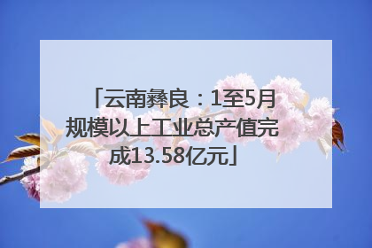 云南彝良：1至5月规模以上工业总产值完成13.58亿元