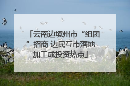 云南边境州市“组团”招商 边民互市落地加工成投资热点