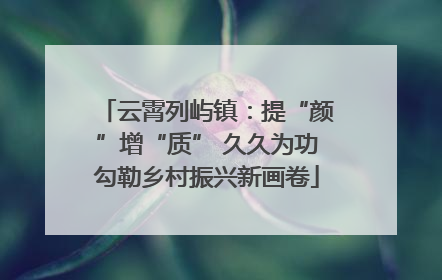云霄列屿镇：提“颜”增“质” 久久为功勾勒乡村振兴新画卷