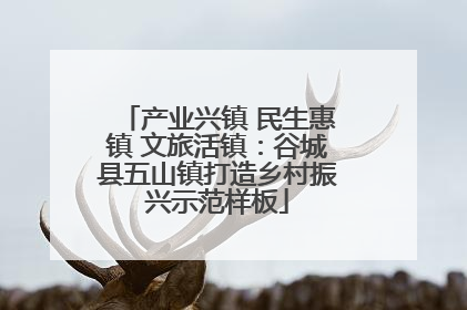 产业兴镇 民生惠镇 文旅活镇：谷城县五山镇打造乡村振兴示范样板