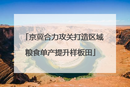 京冀合力攻关打造区域粮食单产提升样板田