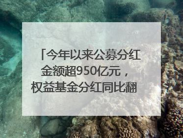 今年以来公募分红金额超950亿元，权益基金分红同比翻倍｜招财猫