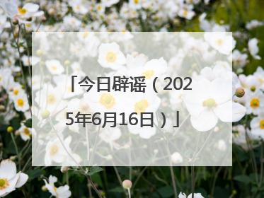 今日辟谣（2025年6月16日）