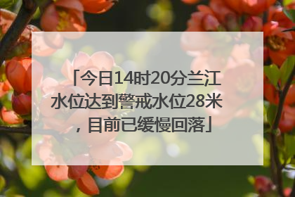 今日14时20分兰江水位达到警戒水位28米，目前已缓慢回落