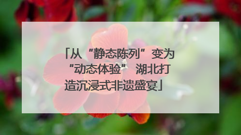 从“静态陈列”变为“动态体验” 湖北打造沉浸式非遗盛宴