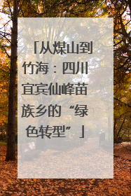 从煤山到竹海：四川宜宾仙峰苗族乡的“绿色转型”