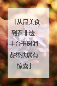 从品美食到看非遗 丰台玉树消费帮扶展有惊喜