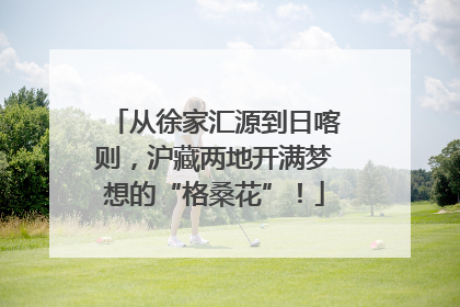 从徐家汇源到日喀则，沪藏两地开满梦想的“格桑花”！
