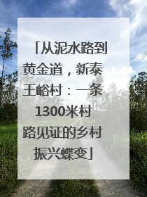 从泥水路到黄金道，新泰王峪村：一条1300米村路见证的乡村振兴蝶变
