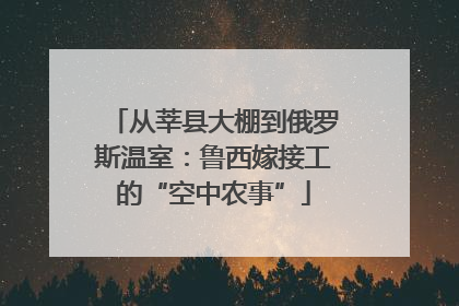 从莘县大棚到俄罗斯温室：鲁西嫁接工的“空中农事”
