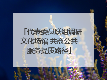 代表委员联组调研文化场馆 共商公共服务提质路径