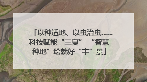 以种适地、以虫治虫……科技赋能“三夏” “智慧种地”绘就好“丰”景