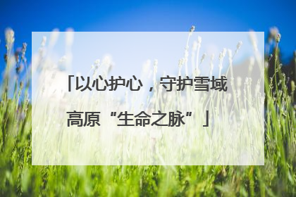 以心护心，守护雪域高原“生命之脉”