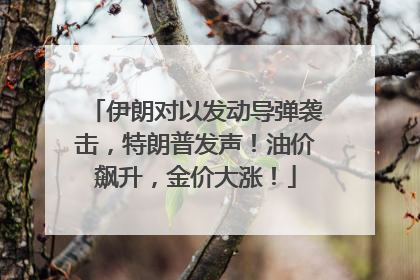 伊朗对以发动导弹袭击，特朗普发声！油价飙升，金价大涨！
