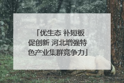 优生态 补短板 促创新 河北增强特色产业集群竞争力