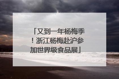 又到一年杨梅季！浙江杨梅赴沪参加世界级食品展