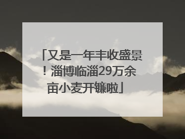 又是一年丰收盛景！淄博临淄29万余亩小麦开镰啦