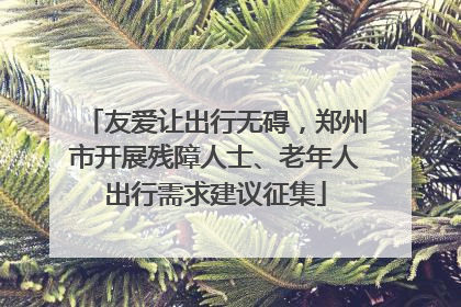 友爱让出行无碍，郑州市开展残障人士、老年人出行需求建议征集