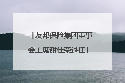 友邦保险集团董事会主席谢仕荣退任