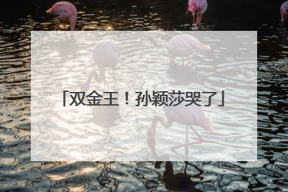 双金王！孙颖莎哭了