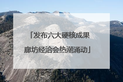 发布六大硬核成果 廊坊经洽会热潮涌动