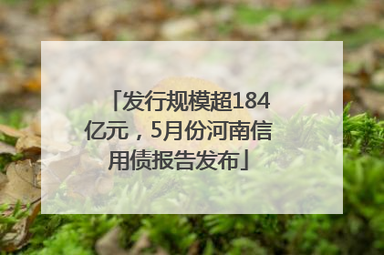 发行规模超184亿元，5月份河南信用债报告发布