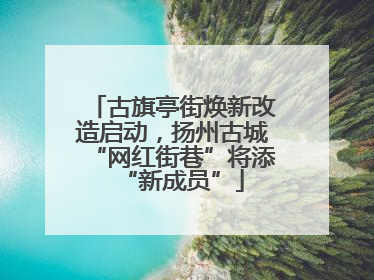 古旗亭街焕新改造启动，扬州古城“网红街巷”将添“新成员”